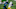 Carolina Panthers Carolina Panthers