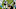 Carolina Panthers Carolina Panthers