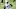 Carolina Panthers Carolina Panthers