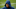 Carolina Panthers Carolina Panthers