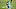 Carolina Panthers Carolina Panthers