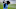 Carolina Panthers Carolina Panthers