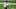 Sam Darnold Sam Darnold