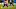 Carolina Panthers Carolina Panthers