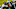 Carolina Panthers Carolina Panthers
