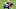 Carolina Panthers Carolina Panthers