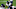 Carolina Panthers Carolina Panthers