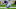 Carolina Panthers Carolina Panthers