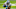 Carolina Panthers Carolina Panthers