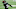 Carolina Panthers Carolina Panthers
