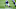Carolina Panthers Carolina Panthers