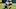 Carolina Panthers Carolina Panthers