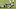 Carolina Panthers Carolina Panthers