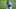 Carolina Panthers