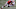 Carolina Panthers Carolina Panthers