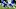 Carolina Panthers Carolina Panthers