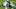 Carolina Panthers Carolina Panthers