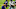Carolina Panthers Carolina Panthers