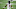 Carolina Panthers Carolina Panthers