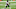 Deshaun Watson