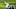 Teddy Bridgewater Teddy Bridgewater