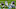 Carolina Panthers Carolina Panthers
