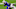 Carolina Panthers Carolina Panthers