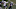 Carolina Panthers Carolina Panthers