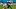 Carolina Panthers Carolina Panthers