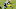 Carolina Panthers Carolina Panthers