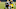 Carolina Panthers Carolina Panthers