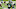 Sam Darnold Sam Darnold