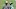 Sam Darnold Sam Darnold