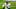 Sam Darnold Sam Darnold
