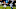 Carolina Panthers Carolina Panthers
