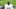 Carolina Panthers Carolina Panthers