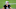 Carolina Panthers Carolina Panthers