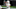 Carolina Panthers Carolina Panthers