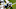 Carolina Panthers Carolina Panthers