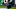 Carolina Panthers Carolina Panthers