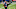 Carolina Panthers Carolina Panthers