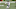 Sam Darnold Sam Darnold