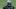 Carolina Panthers Carolina Panthers