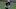 Carolina Panthers Carolina Panthers