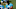 Carolina Panthers Carolina Panthers