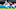 Carolina Panthers Carolina Panthers