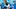 Carolina Panthers Carolina Panthers