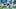 Carolina Panthers Carolina Panthers