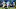 Carolina Panthers Carolina Panthers