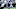 Carolina Panthers Carolina Panthers
